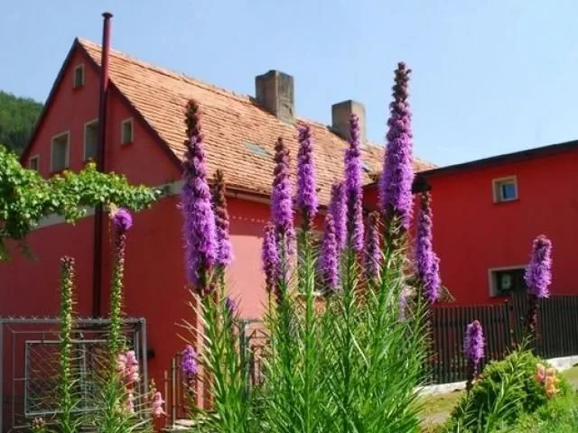 Noclegi U JANINY Jugowice Niedźwiedzica 64