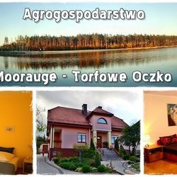 Moorauge - Torfowe Oczko. Morawica