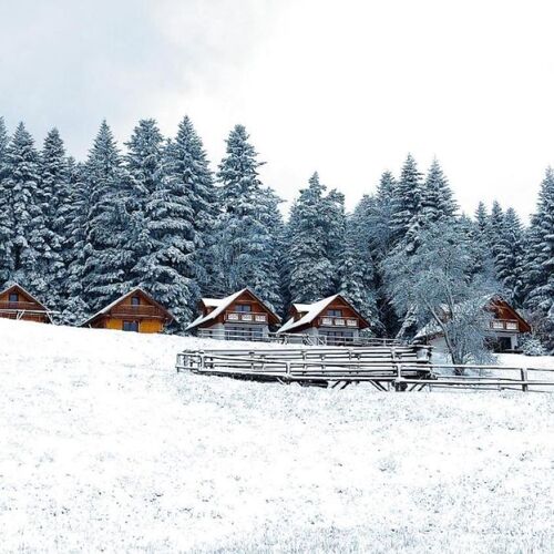 Domki w Kasinie Kasina Wielka