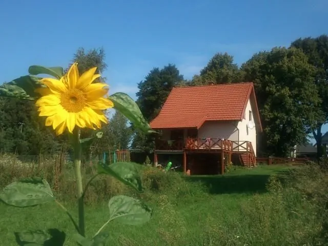 Widok na dom z końca ogrodu 
