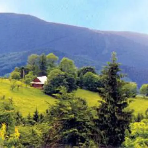 TELESFOR&Oacute;WKA Brenna Pilarzy 64