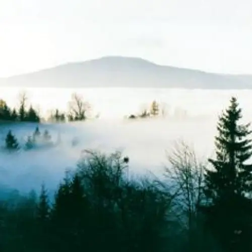 TELESFOR&Oacute;WKA Brenna Pilarzy 64