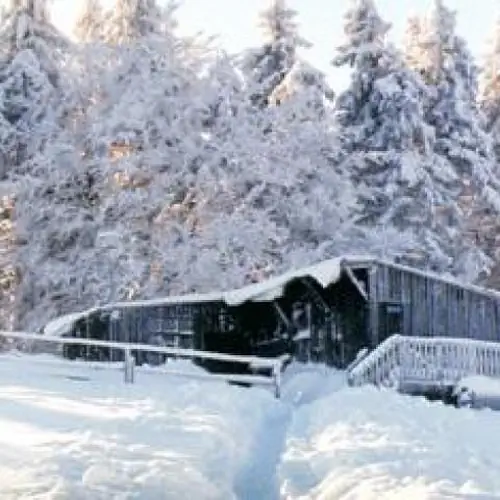 TELESFOR&Oacute;WKA Brenna Pilarzy 64