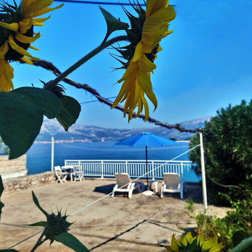 Apartmanok és Szobák A Tenger Mellett Lumbarda, Korcula - 14647 Lumbarda