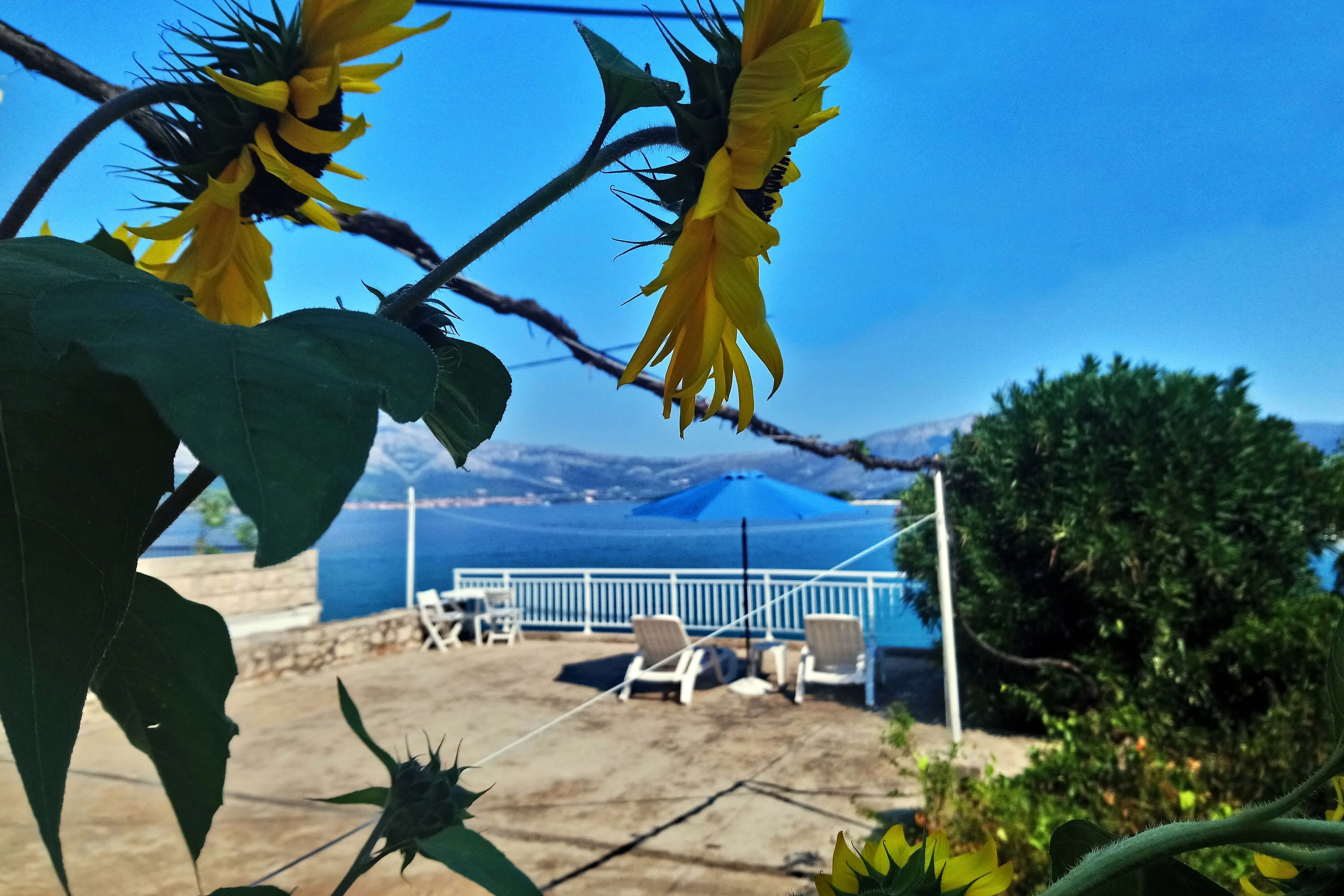 Apartmanok és Szobák A Tenger Mellett Lumbarda, Korcula - 14647 Lumbarda