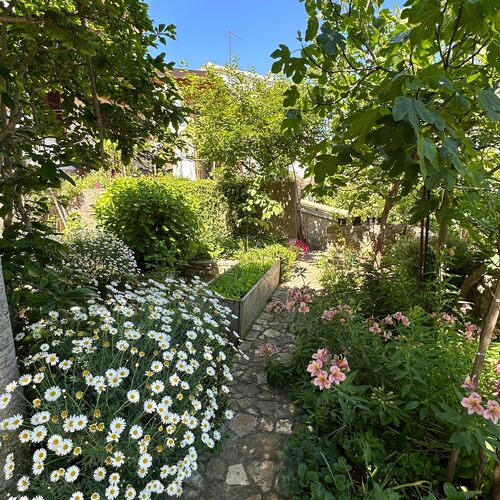 Apartmanok A Tenger Mellett Mali Losinj, Losinj - 14844 Mali Lošinj  3