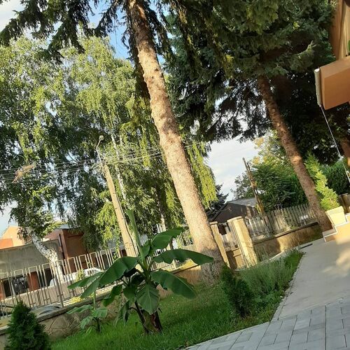 Berény Panzió Balatonberény  4