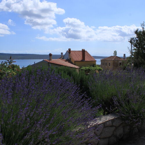Nyaralóház Parkolóhellyel Nerezine, Losinj - 8016 Nerezine  3