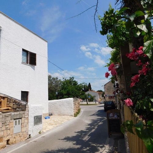 Apartments Suncokret Medulin  3