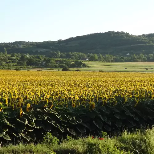 Veranda Vendégház Pécsely 030 kép