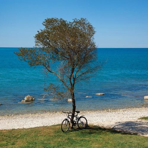 Sirena Premium Village Novigrad  2