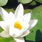 Wellness részleg, relaxáció