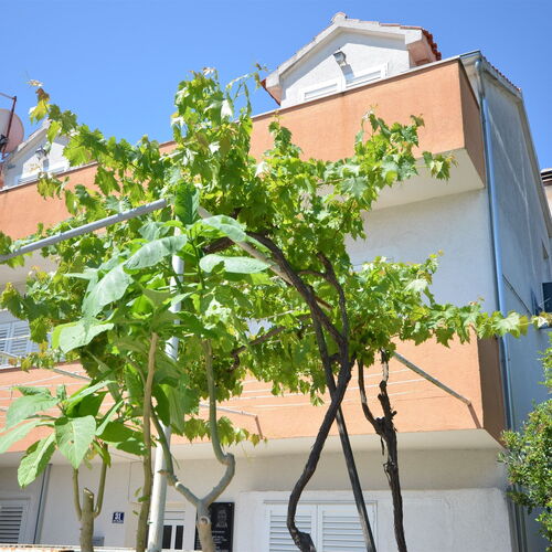 Apartments and Rooms Ive Vodice  4