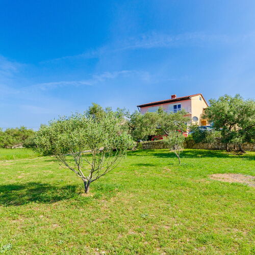 Apartments Opsenica Barbat  3