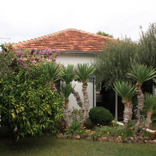 Apartmanok A Tenger Mellett Splitska, Brac - 2865 Splitska