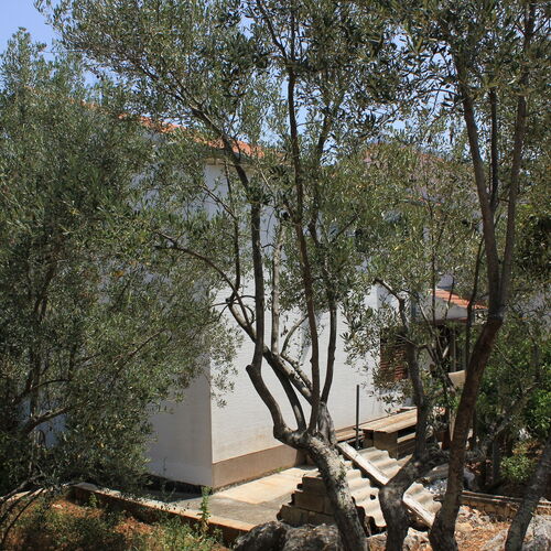 Apartmanok A Tenger Mellett Öböl Mala Lamjana, Ugljan - 347 Mala Lamjana  3