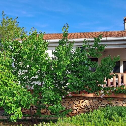 Halászkunyhó Nyaraláshoz A Tenger Mellett Krknata, Dugi Otok - 397 Krknata  2