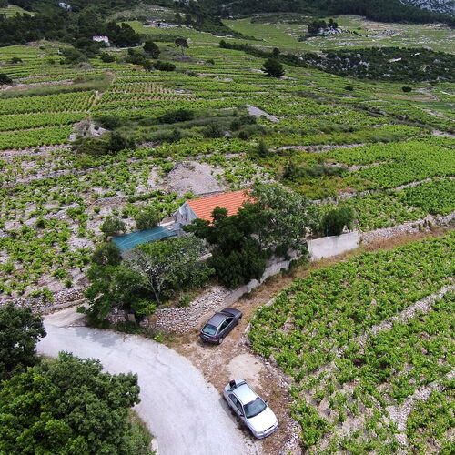 Nyaralóház Parkolóhellyel Dingac - Pristranj, Peljesac - 660 Dingač - Pristranj  4
