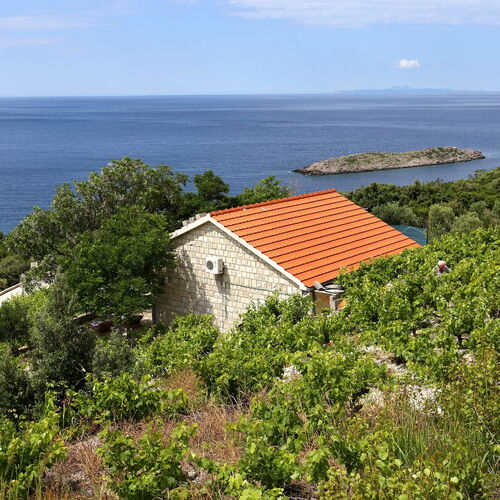Nyaralóház Parkolóhellyel Dingac - Pristranj, Peljesac - 660 Dingač - Pristranj  3
