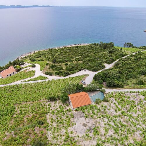 Nyaralóház Parkolóhellyel Dingac - Pristranj, Peljesac - 660 Dingač - Pristranj  2