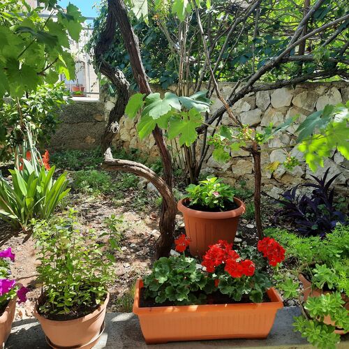 Apartmanok A Tenger Mellett Businci, Ciovo - 1081 Bušinci  4