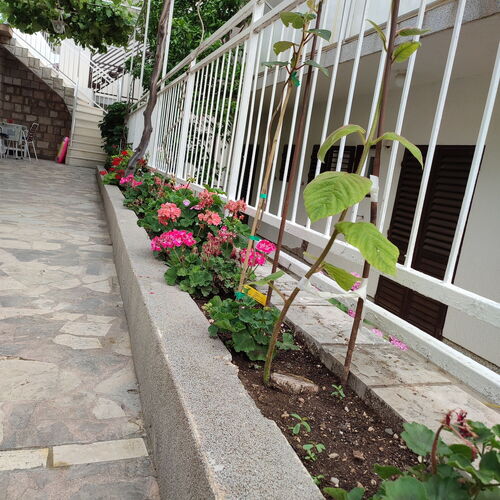 Apartmanok A Tenger Mellett Podaca, Makarska - 2576 Podaca  3