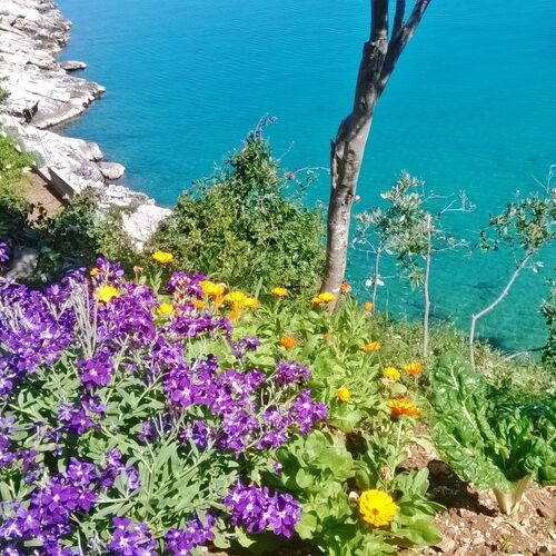 Robinzoni Apartmanok A Tenger Mellett Öböl Pobij, Hvar - 7506 Pobij  4
