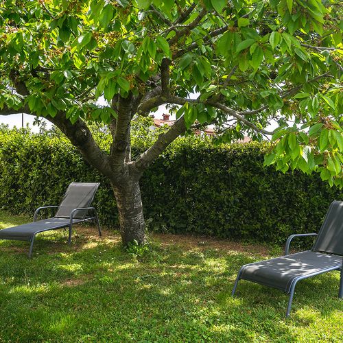 Apartmani Elvira 2 Medulin Istria  3