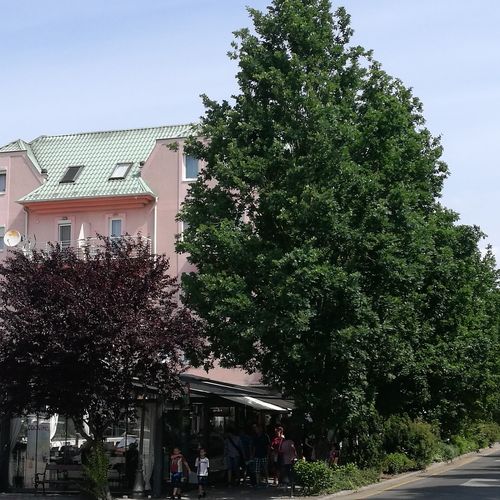 Niki Apartman Hévíz  2