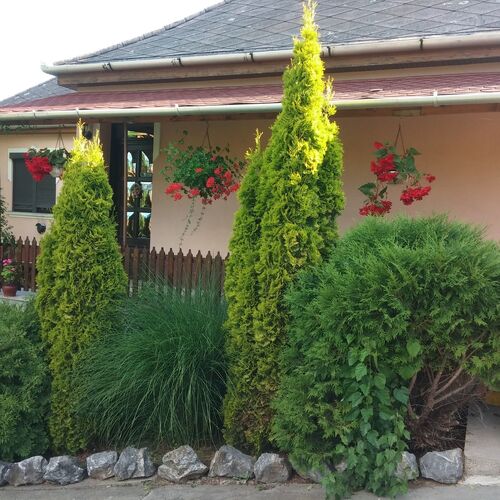 Bükk Vendégház Mályinka