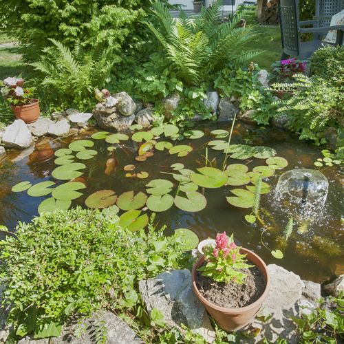 Ágiszalon Apartman Balatonboglár  2