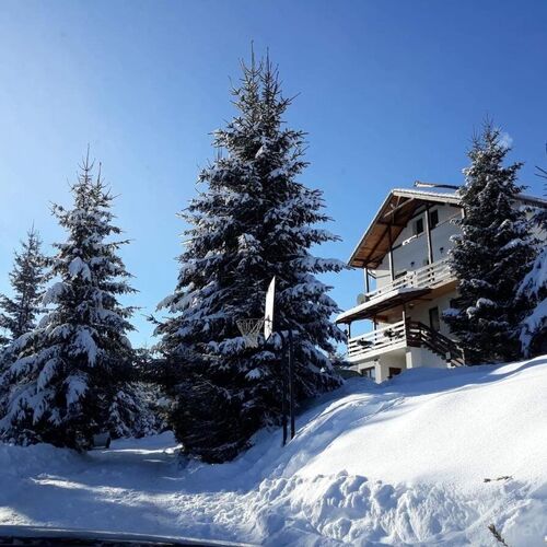 Casa de vacanță Two Brothers Concept Păltiniș