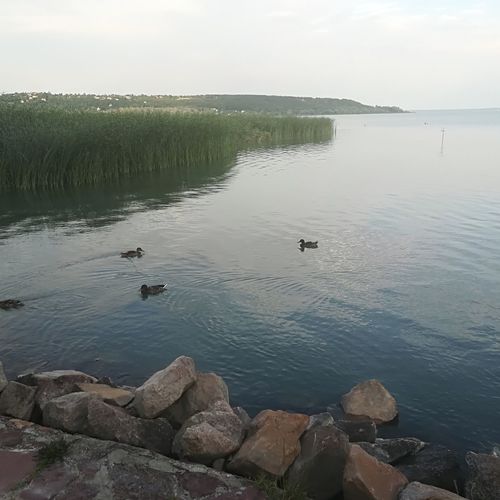 Betty Apartman Balatonfűzfő  3