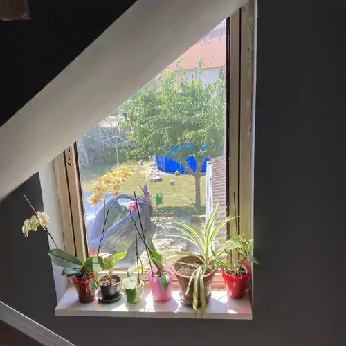Rózsás Apartman Hajdúszoboszló 002 kép