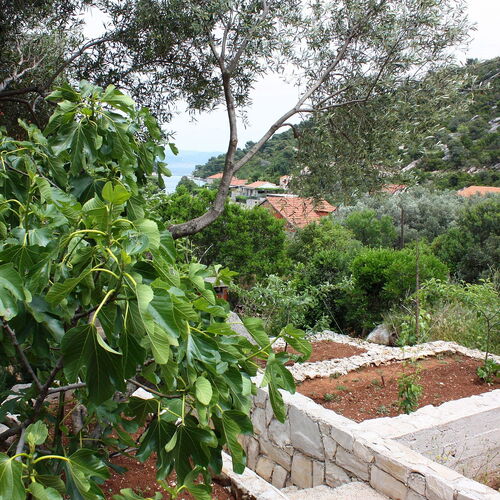 Apartmanok A Tenger Mellett Prozurska Luka, Mljet - 4940 Prožurska Luka  3