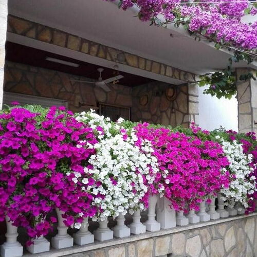 Apartmanok Parkolóhellyel Sabunike, Zadar - 6258 Sabunike  3