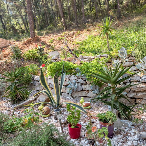 Apartmanok A Tenger Mellett Öböl Vela Stiniva, Hvar - 6864 Vela Stiniva  3