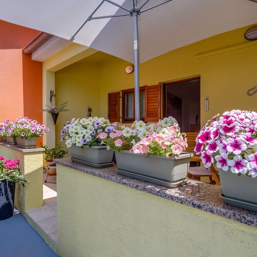 Apartmanok A Tenger Mellett Artatore, Losinj - 7952 Artatore  3