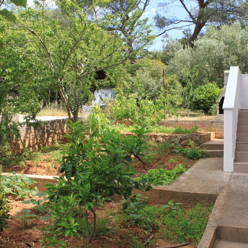 Apartmanok Parkolóhellyel Artatore, Losinj - 8007 Artatore  3
