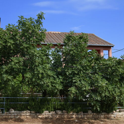 Apartmanok A Tenger Mellett Gornji Karin, Novigrad - 11806 Gornji Karin  2