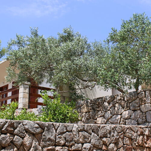 Robinzoni Apartmanok A Tenger Mellett Zavala, Hvar - 15357 Zavala  3