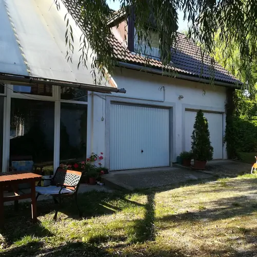 Tavaly m&eacute;g &oacute;ri&aacute;si volt a fűz lombkoron&aacute;ja.