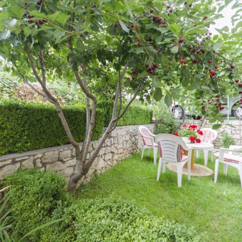 Apartment Peaceful green oasis Vodice  2