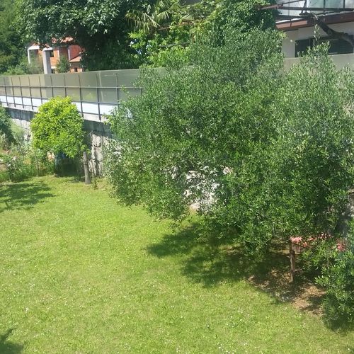 Apartmani Vesna Opatija  3