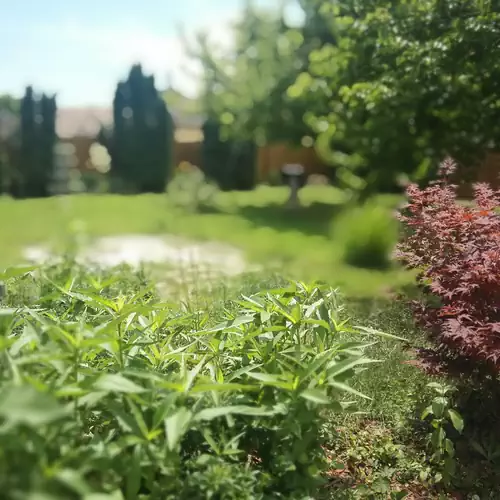 Norka Apartman Balatonszabadi 004 kép