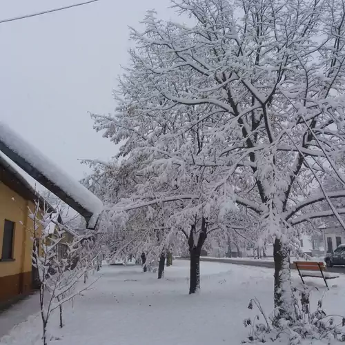 Hársfák Apartman Mezőkovácsháza 010 kép