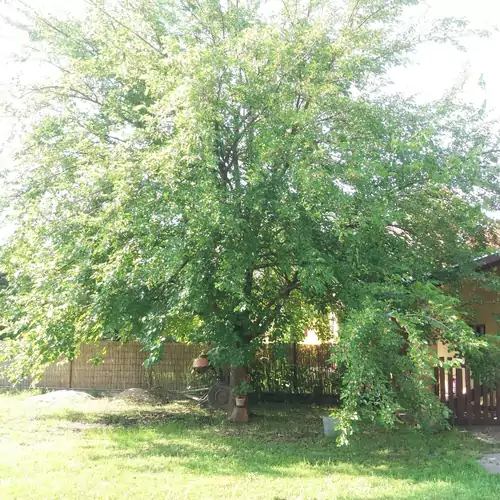 Hársfák Apartman Mezőkovácsháza 026 kép