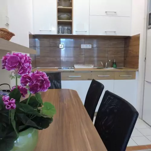 Zöld Oázis Apartman Fonyód 010 kép