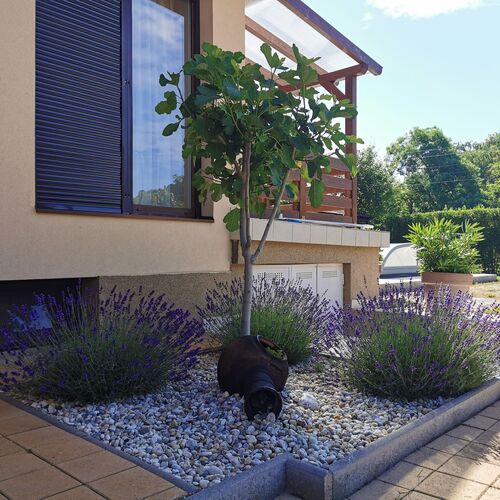 Kovács Apartmanház Balatonfüred  3