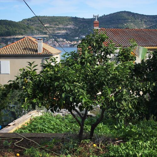 Apartmanok A Tenger Mellett Vis - 2428  3